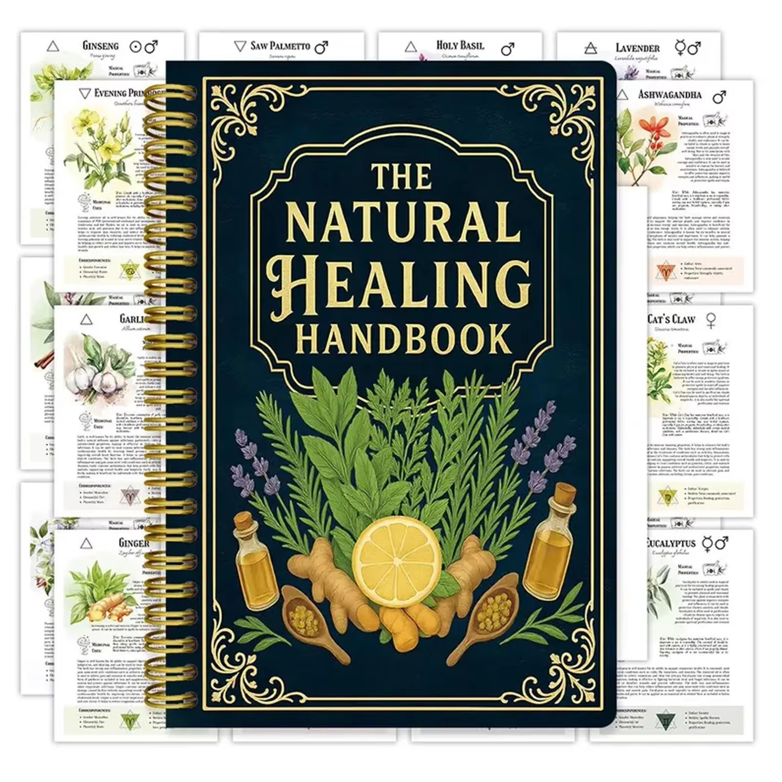 Healing Wellness - Healing Handbook By Luna Filby English