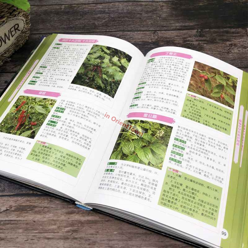 400 Common Herbal Plants Flavo - Herbal Wellness Book avis et prix
