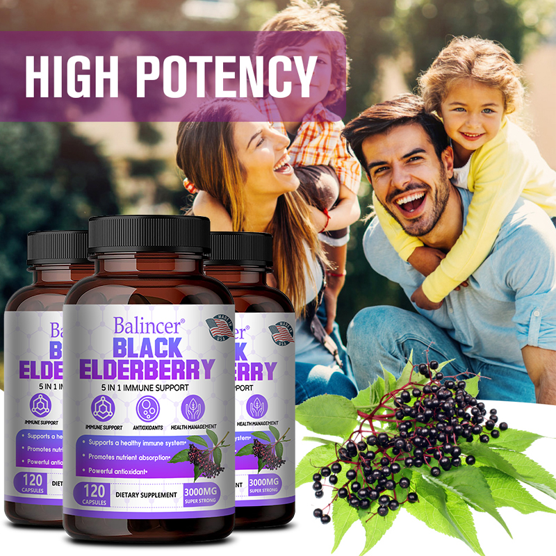 Black Elderberry Capsules - Vi - Wellness Quercetin avis et prix